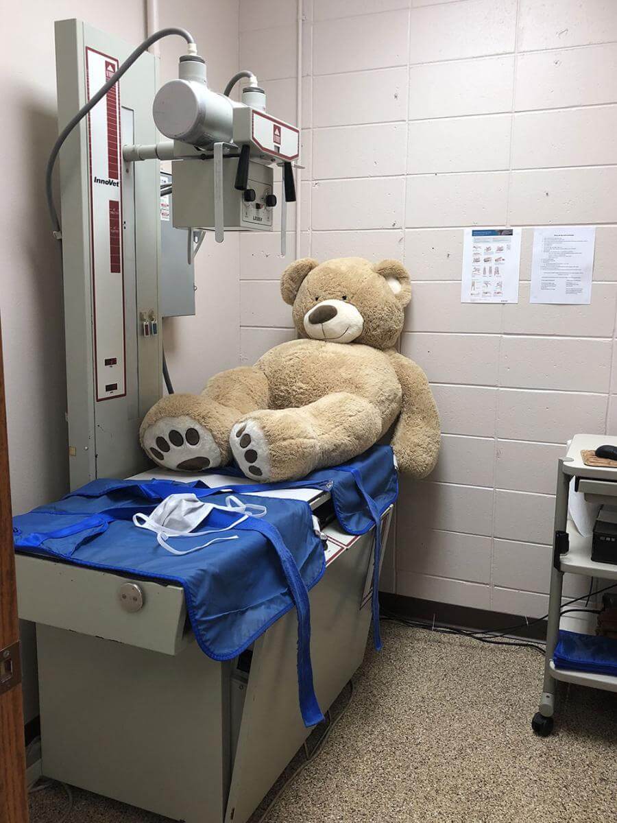 Radiology
