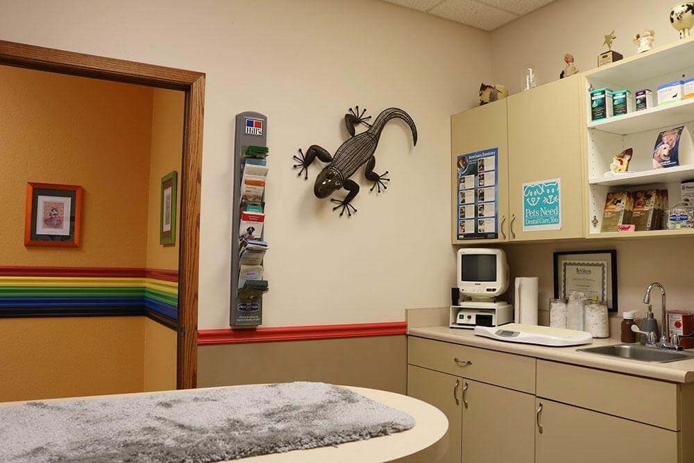 Exam room 2