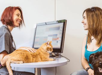 What Is a Fear Free® Veterinary Hospital and What Are The Benefits?