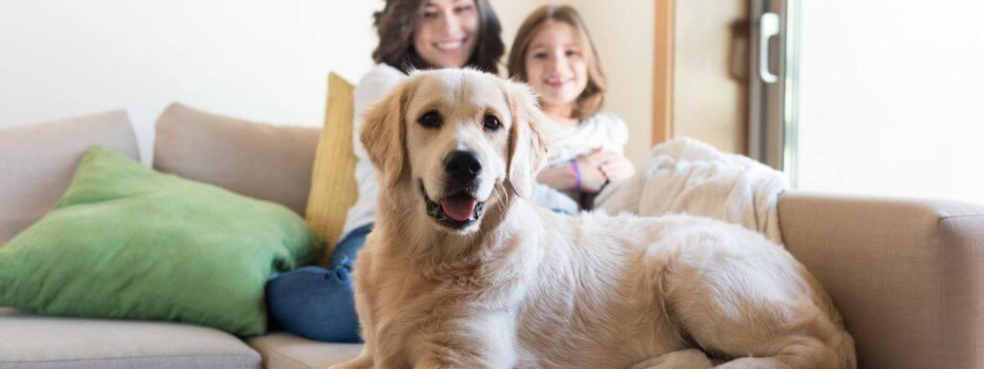 Dog with it's family, pet owners are choosing holistic veterinary care for dogs