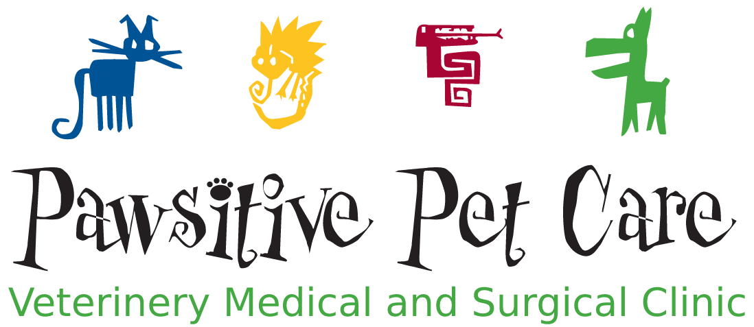 Pawsitive Pet Care