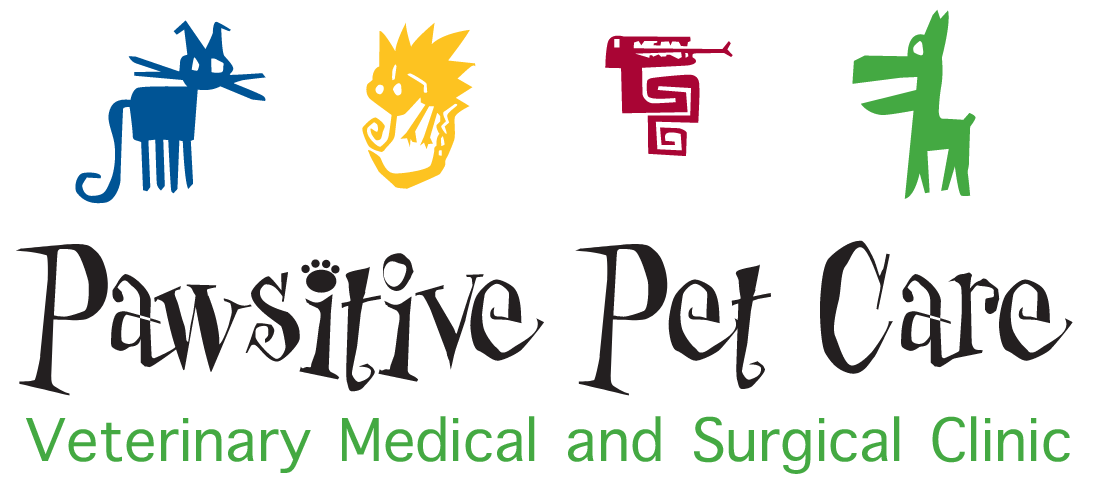 Pawsitive Pet Care